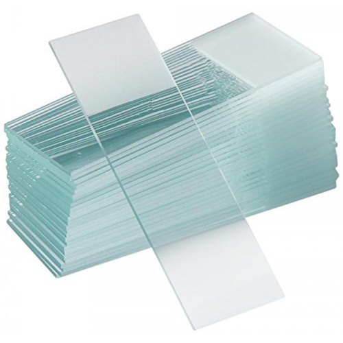 Microscope slides (plain)