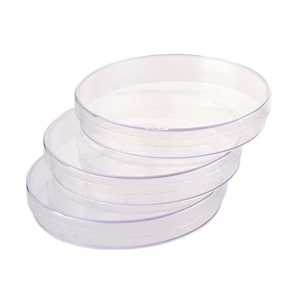 Petri Dish
